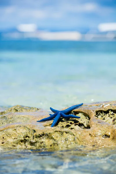 Estrella de mar sobre arena tropical —  Fotos de Stock