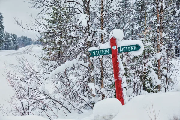 Puinen tienviitta metsässä — kuvapankkivalokuva