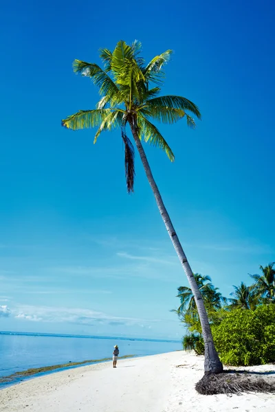 Тропічний пляж і море — стокове фото
