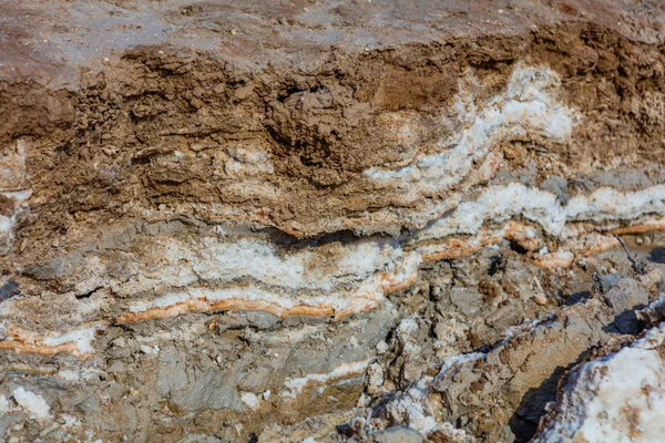 Ölü Deniz sahil şeridi