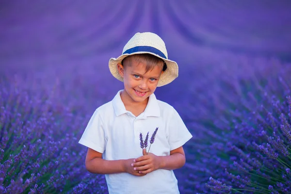 Мальчик в лавандовом летнем поле — стоковое фото