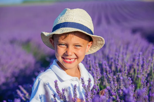 Çocuğun lavanta yaz alanında — Stok fotoğraf