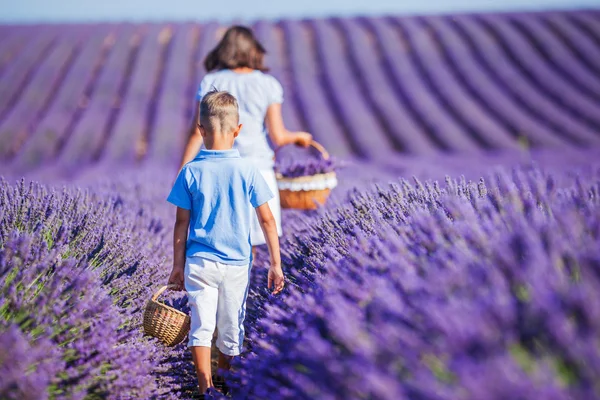 Familie i lavendel sommer felt - Stock-foto