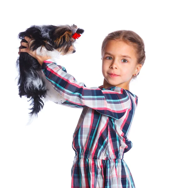 Girl playing with her yorkshire terrier — Stock Photo, Image