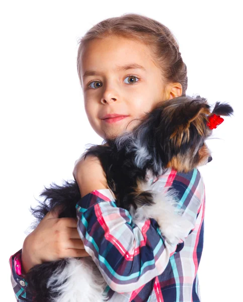 Dziewczyna bawi sie z jej yorkshire terrier — Zdjęcie stockowe