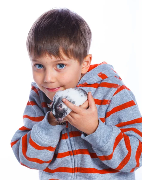 Schattige jongen met hamster — Stockfoto