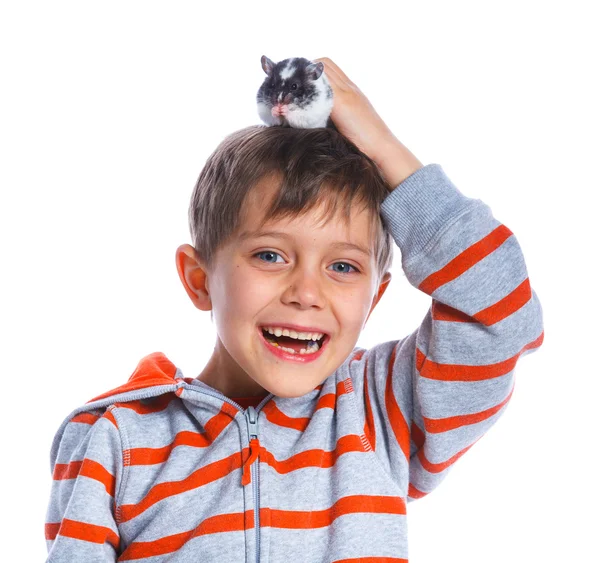 Симпатичный мальчик с хомячком — стоковое фото