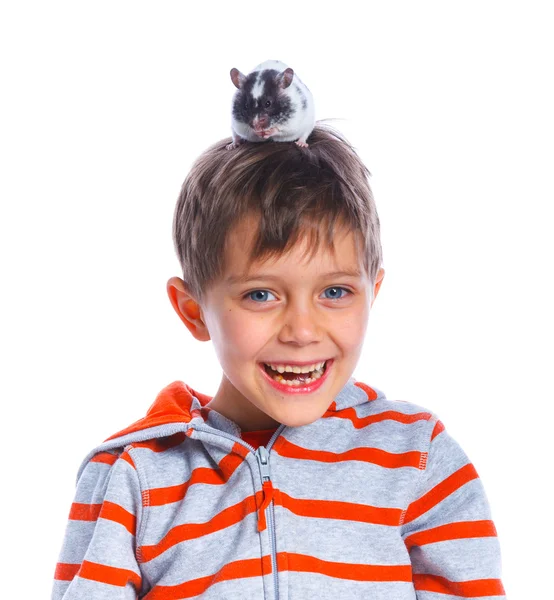 Cute boy with hamster — Stock Photo, Image