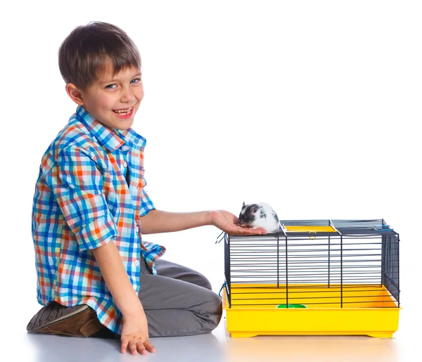 Cute boy with hamster — Stock Photo, Image
