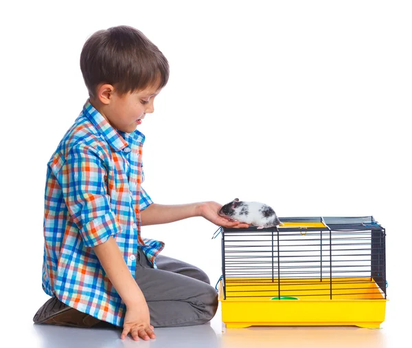 Garçon mignon avec hamster — Photo