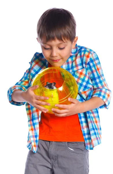 Schattige jongen met hamster — Stockfoto