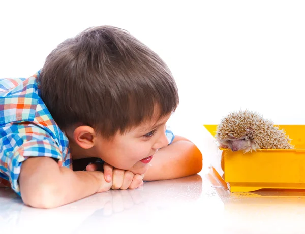 Niño con erizo — Foto de Stock