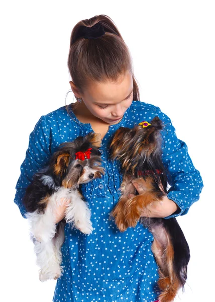 Mädchen spielt mit ihrem yorkshire terrier — Stockfoto