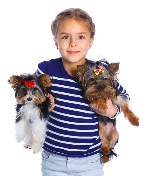 Mädchen spielt mit ihren yorkshire terriers — Stockfoto