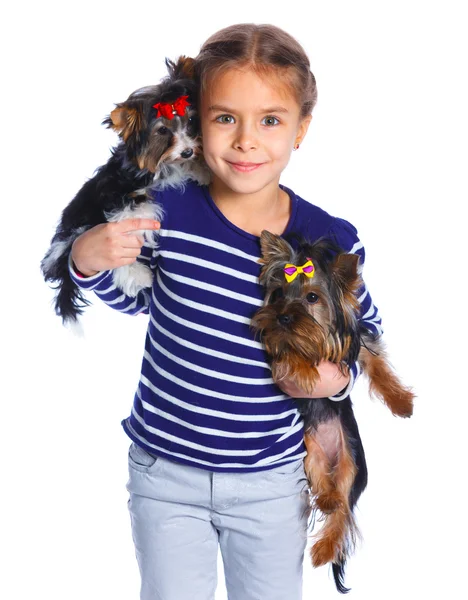 Mädchen spielt mit ihren yorkshire terriers — Stockfoto