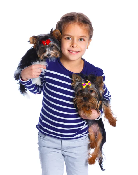 Girl playing with her yorkshire terriers — Stock Photo, Image