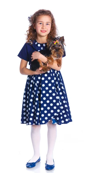 Menina brincando com seu terrier yorkshire — Fotografia de Stock