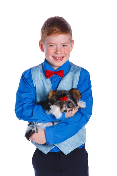 Junge spielt mit seinem yorkshire terrier — Stockfoto