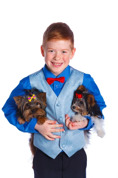 Chico jugando con su yorkshire terriers — Foto de Stock