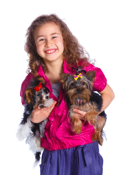 Fille jouer avec son yorkshire terriers — Photo