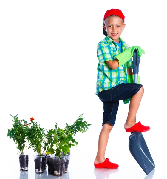 Cute boy gardener — Stock Photo, Image