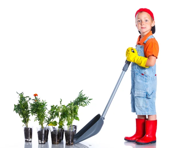 Cute boy gardener — Stock Photo, Image