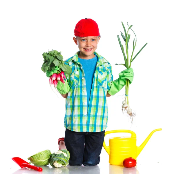 Cute boy gardener — Stock Photo, Image