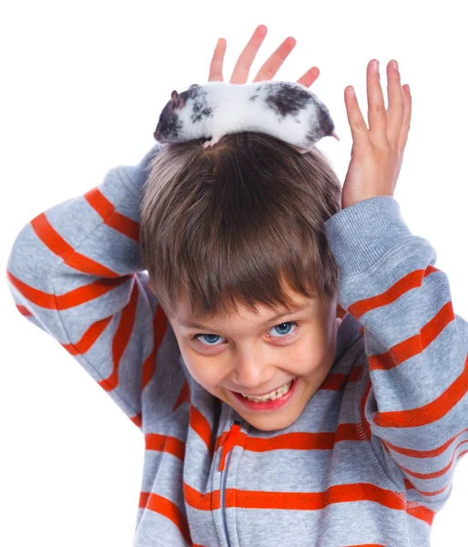 Schattige jongen met hamster — Stockfoto