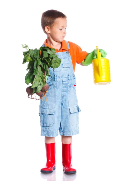 Cute boy gardener — Stock Photo, Image