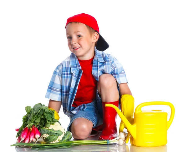 Cute boy gardener — Stock Photo, Image