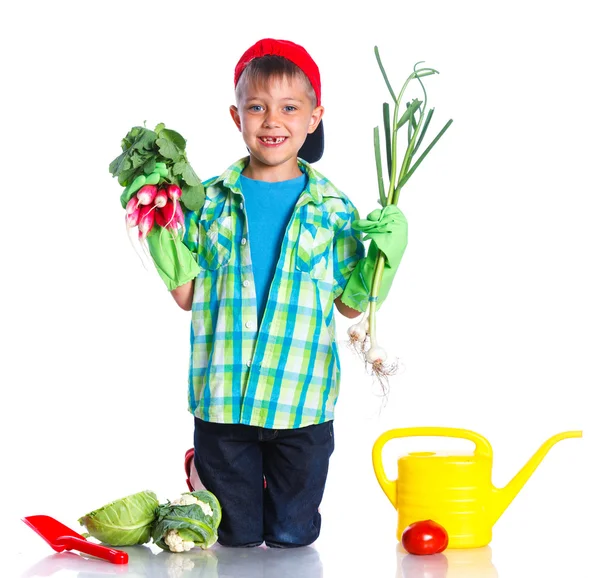 Cute boy gardener — Stock Photo, Image