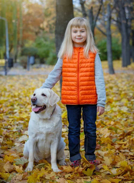 Девочка и её собака — стоковое фото