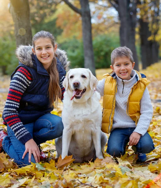 Bambino e cane nel parco autunnale — Foto Stock