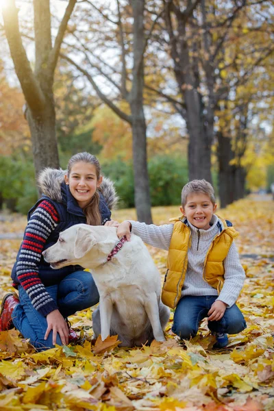 Kid and dog in autumn park — Stock Photo, Image