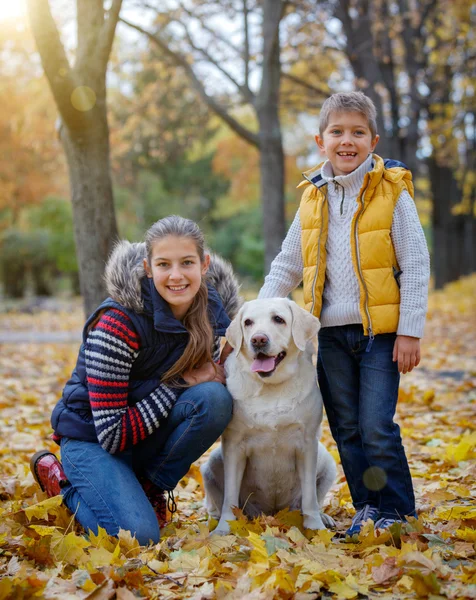 Çocuk ve köpek sonbahar Park — Stok fotoğraf