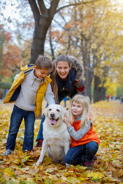 Çocuk ve köpek sonbahar Park — Stok fotoğraf