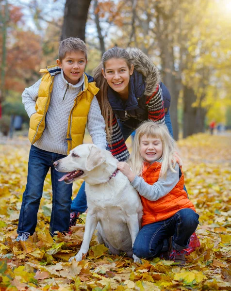 Criança e cachorro no parque de outono — Fotografia de Stock