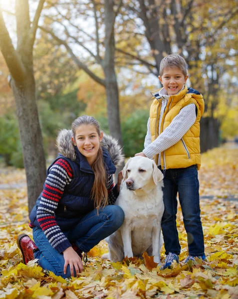 Kind und Hund im Herbstpark — Stockfoto