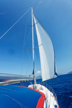 Yelkenli. Açık denizde beyaz yelkenli gemi yatları.
