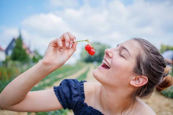 Портрет девушки, поедающей и собирающей клубнику в поле — стоковое фото