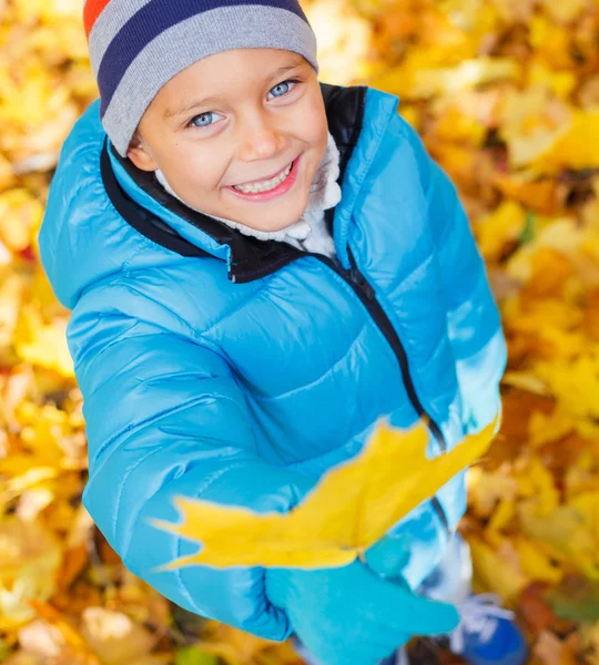 秋天的叶子可爱的小女孩 — 图库照片