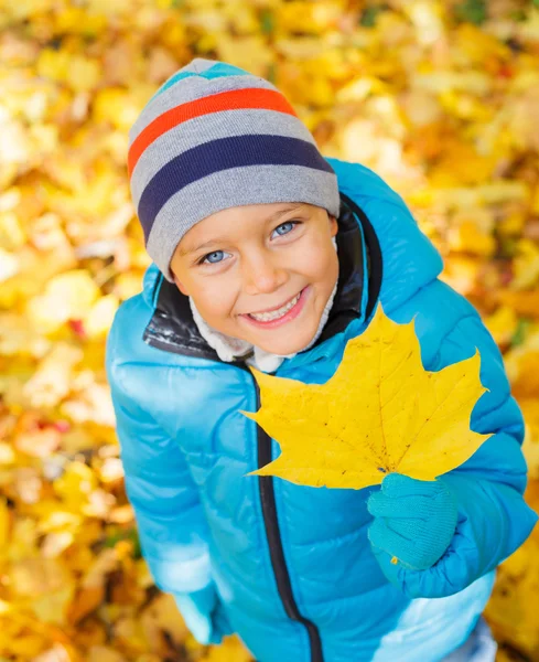 Ragazza carina con foglie d'autunno — Foto Stock