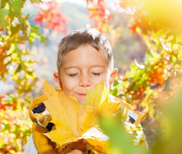 Nettes Mädchen mit Herbstblättern — Stockfoto