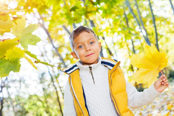 Schattige jongen met najaar bladeren — Stockfoto