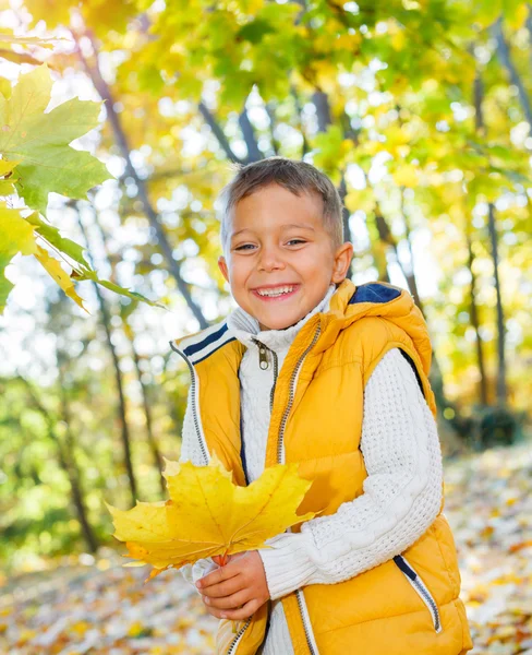 Милий хлопчик з осіннім листям — стокове фото