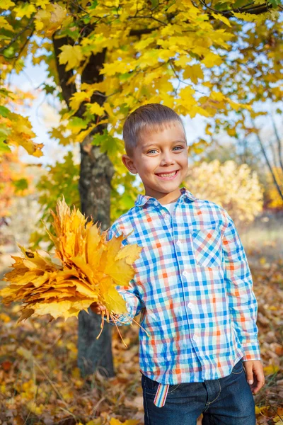 Netter Junge mit Herbstblättern — Stockfoto