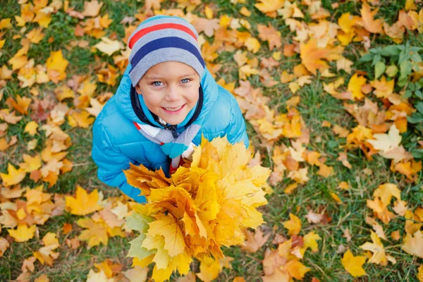 Carino ragazzo con foglie d'autunno — Foto Stock