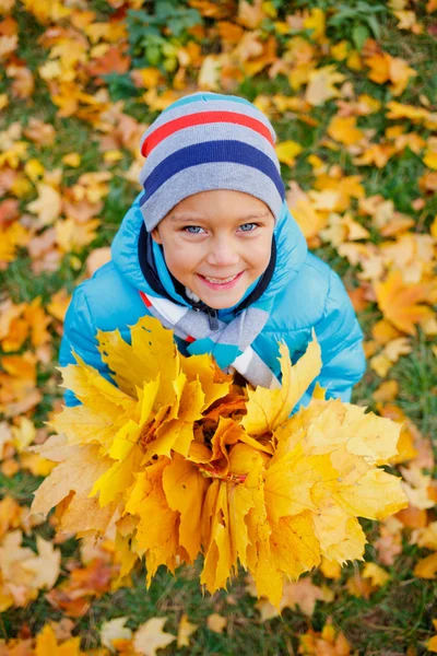 Carino ragazzo con foglie d'autunno — Foto Stock