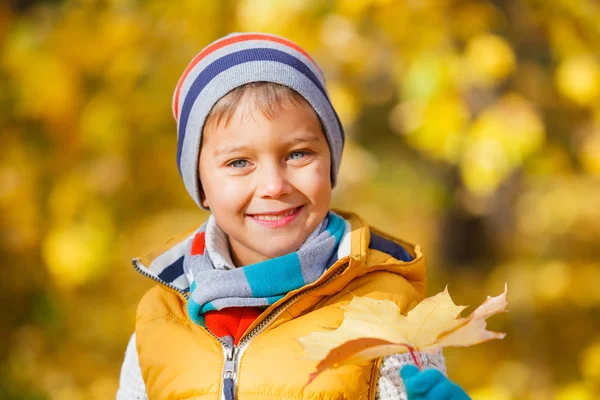 Schattige jongen met najaar bladeren — Stockfoto