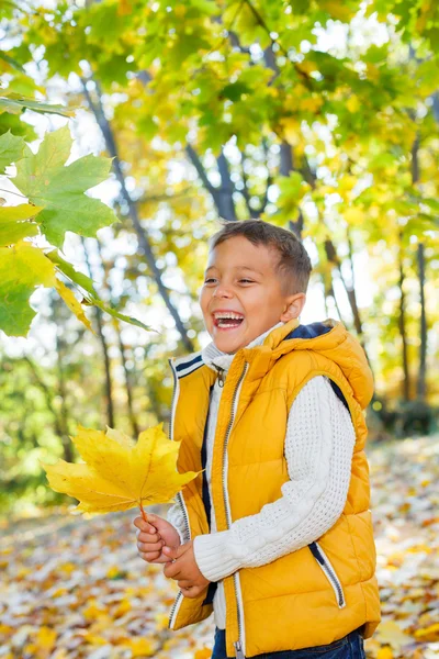 Carino ragazzo con foglie d'autunno — Foto Stock